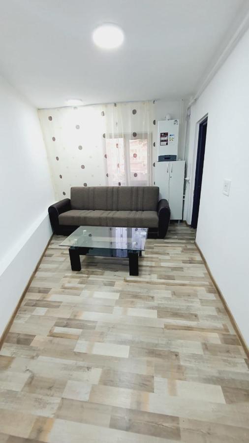 ドロベタ＝トゥルヌ・セヴェリンApartament Radoiアパートメント エクステリア 写真